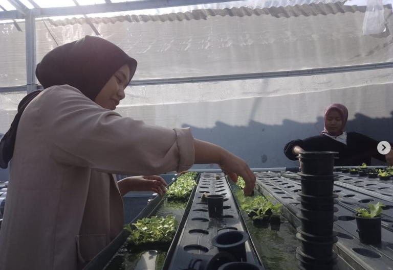 Pembangunan Community-Supported Agriculture